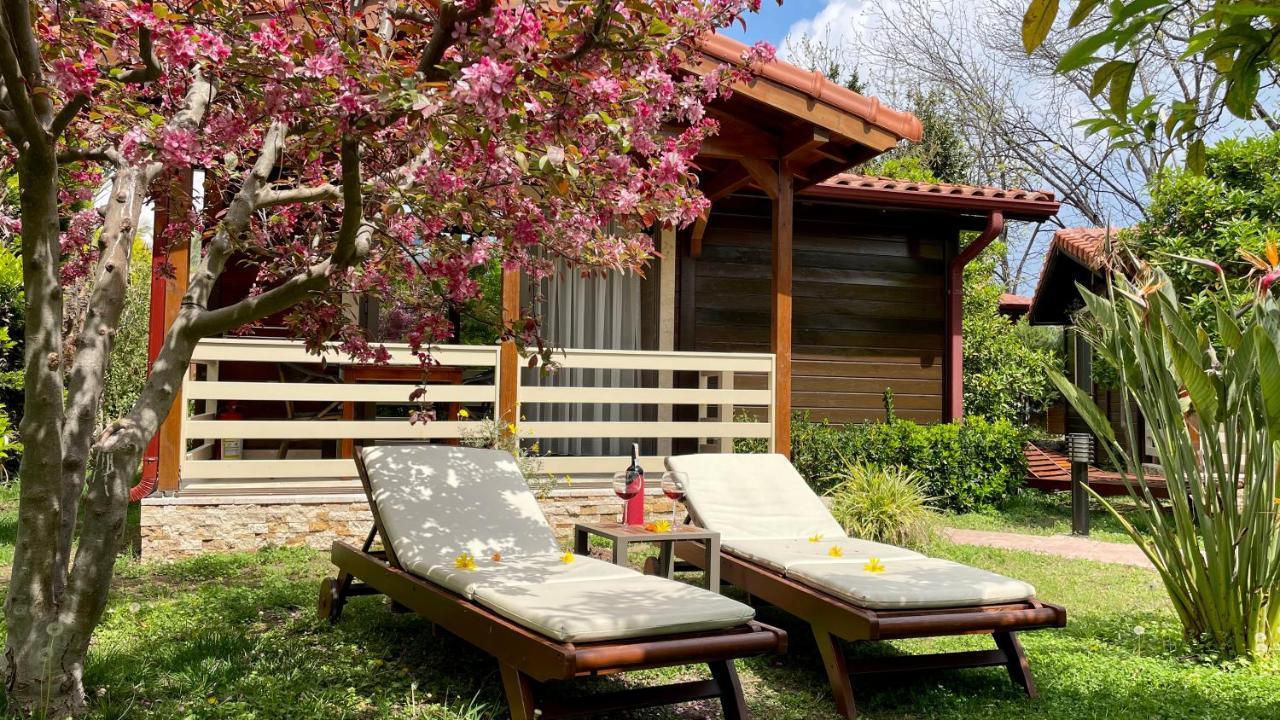 Aida Hotel Çıralı Esterno foto