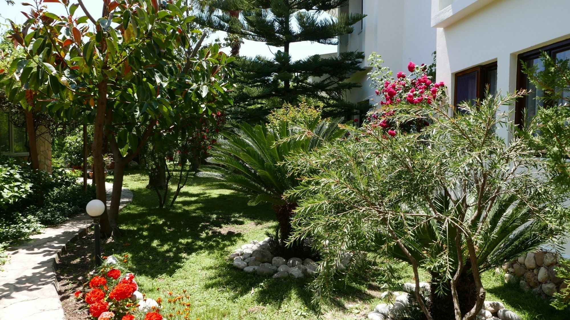 Aida Hotel Çıralı Esterno foto