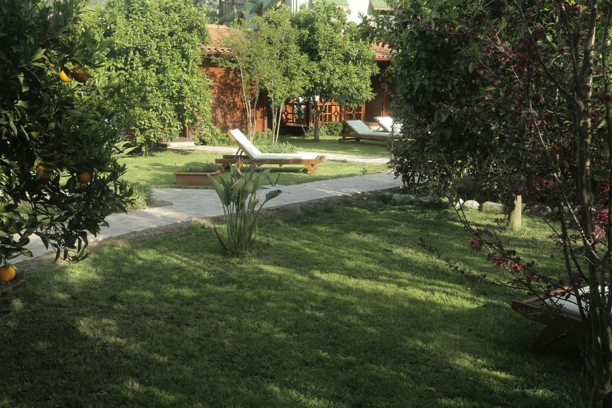 Aida Hotel Çıralı Esterno foto